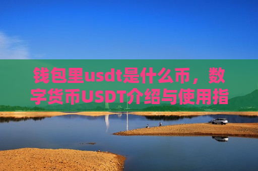 钱包里usdt是什么币，数字货币USDT介绍与使用指南-第1张图片-币圈网