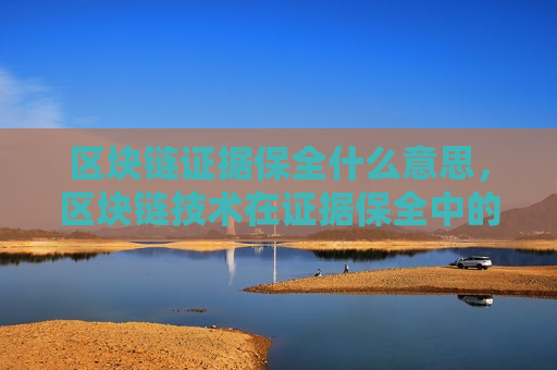 区块链证据保全什么意思，区块链技术在证据保全中的应用-第1张图片-币圈网