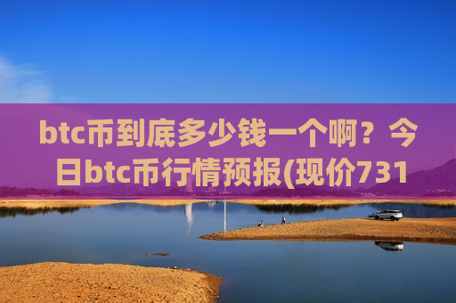 btc币到底多少钱一个啊?今日btc币行情预报(现价731099.41元)-第1张图片-币圈网 btc币到底多少钱一个啊?今日btc币行情预报(现价731099.41元)-第1张图片-币圈网