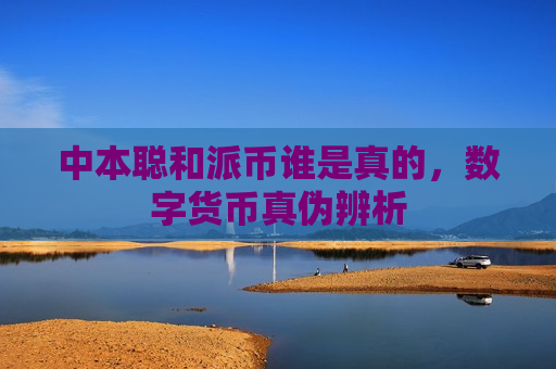 中本聪和派币谁是真的，数字货币真伪辨析-第1张图片-币圈网