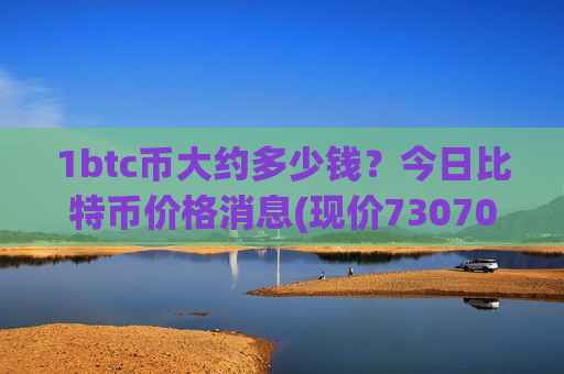 1btc币大约多少钱?今日比特币价格消息(现价730705.18元)-第1张图片-币圈网 1btc币大约多少钱?今日比特币价格消息(现价730705.18元)-第1张图片-币圈网