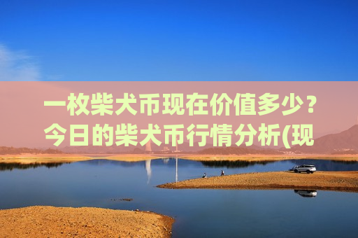 一枚柴犬币现在价值多少?今日的柴犬币行情分析(现价0.00020538元)-第1张图片-币圈网 一枚柴犬币现在价值多少?今日的柴犬币行情分析(现价0.00020538元)-第1张图片-币圈网