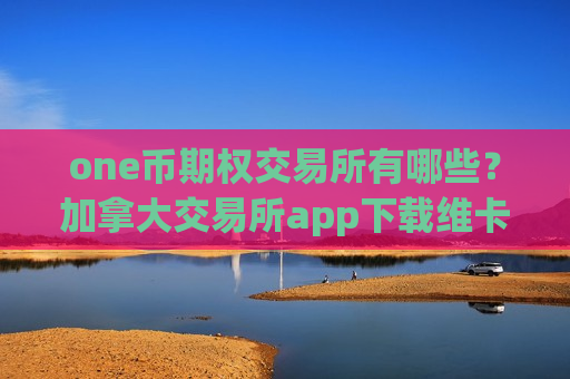 one币期权交易所有哪些？加拿大交易所app下载维卡币-第1张图片-币圈网