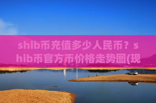 shib币充值多少人民币？shib币官方币价格走势图(现价0.00020282元)-第1张图片-币圈网