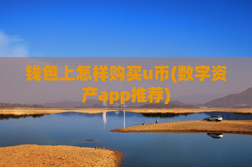 钱包上怎样购买u币(数字资产app推荐)-第1张图片-币圈网 钱包上怎样购买u币(数字资产app推荐)-第1张图片-币圈网