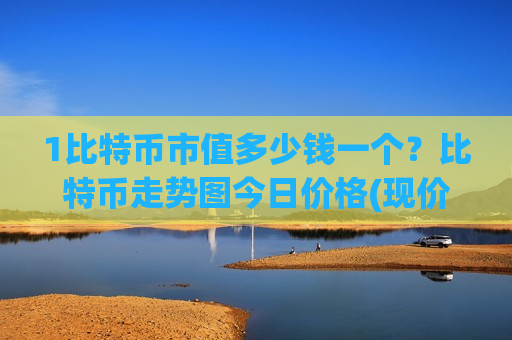 1比特币市值多少钱一个？比特币走势图今日价格(现价728608.36元)-第1张图片-币圈网