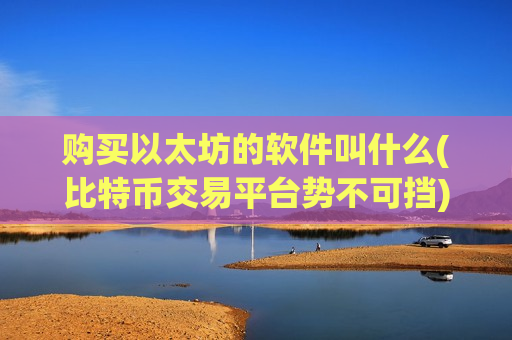 购买以太坊的软件叫什么(比特币交易平台势不可挡)-第1张图片-币圈网