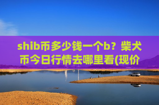 shib币多少钱一个b？柴犬币今日行情去哪里看(现价0.00020109元)-第1张图片-币圈网