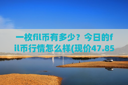 一枚fil币有多少？今日的fil币行情怎么样(现价47.8501元)-第1张图片-币圈网