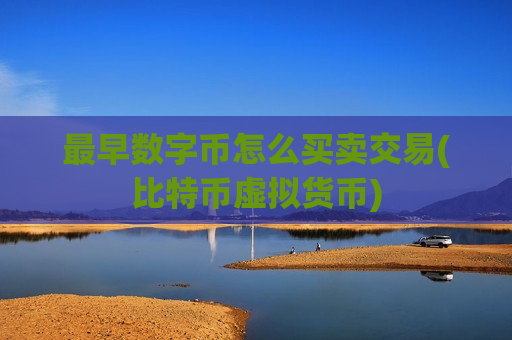 最早数字币怎么买卖交易(比特币虚拟货币)