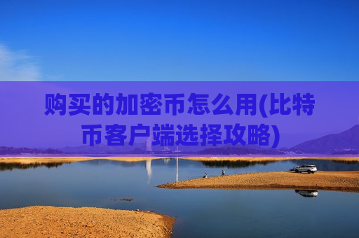 购买的加密币怎么用(比特币客户端选择攻略)-第1张图片-币圈网 购买的加密币怎么用(比特币客户端选择攻略)-第1张图片-币圈网