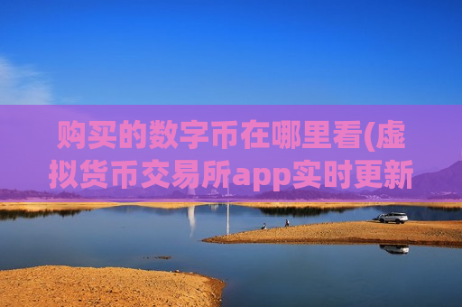购买的数字币在哪里看(虚拟货币交易所app实时更新)-第1张图片-币圈网 购买的数字币在哪里看(虚拟货币交易所app实时更新)-第1张图片-币圈网