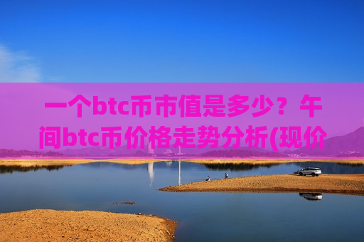 一个btc币市值是多少？午间btc币价格走势分析(现价729165.2元)