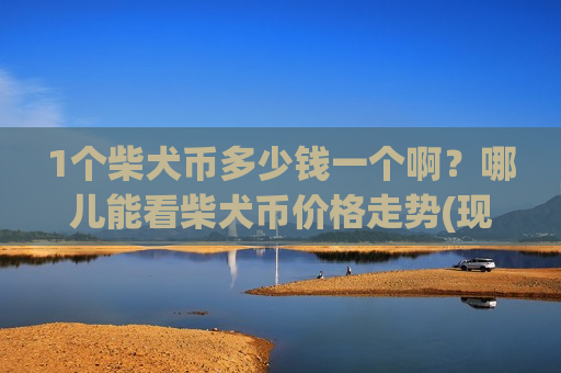 1个柴犬币多少钱一个啊？哪儿能看柴犬币价格走势(现价0.00020574元)-第1张图片-币圈网