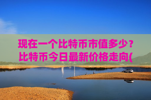 现在一个比特币市值多少?比特币今日最新价格走向(现价730931.08元)-第1张图片-币圈网 现在一个比特币市值多少?比特币今日最新价格走向(现价730931.08元)-第1张图片-币圈网