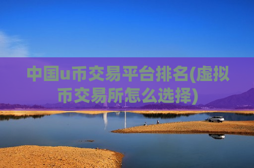 中国u币交易平台排名(虚拟币交易所怎么选择)-第1张图片-币圈网
