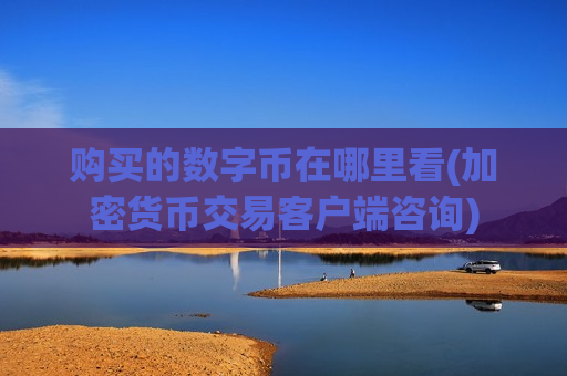 购买的数字币在哪里看(加密货币交易客户端咨询)-第1张图片-币圈网