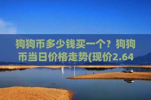 狗狗币多少钱买一个？狗狗币当日价格走势(现价2.6471元)-第1张图片-币圈网