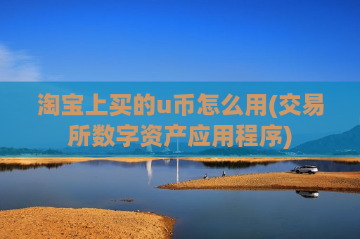 淘宝上买的u币怎么用(交易所数字资产应用程序)