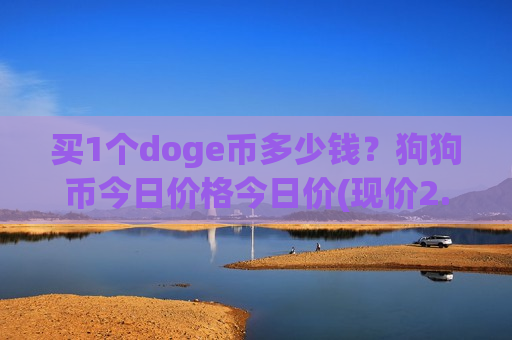 买1个doge币多少钱？狗狗币今日价格今日价(现价2.6487元)-第1张图片-币圈网