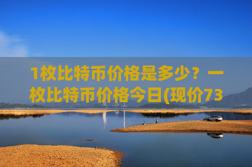 1枚比特币价格是多少?一枚比特币价格今日(现价732606.42元)-第1张图片-币圈网 1枚比特币价格是多少?一枚比特币价格今日(现价732606.42元)-第1张图片-币圈网