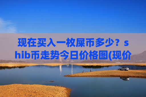 现在买入一枚屎币多少？shib币走势今日价格图(现价0.00017577元)-第1张图片-币圈网