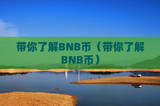 带你了解BNB币（带你了解BNB币）-第1张图片-币圈网
