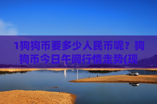 1狗狗币要多少人民币呢？狗狗币今日午间行情走势(现价2.6498元)-第1张图片-币圈网