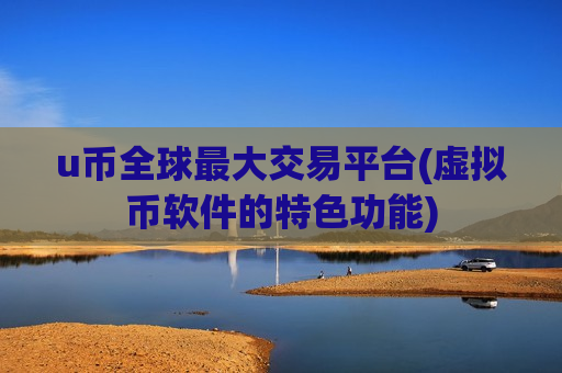 u币全球最大交易平台(虚拟币软件的特色功能)