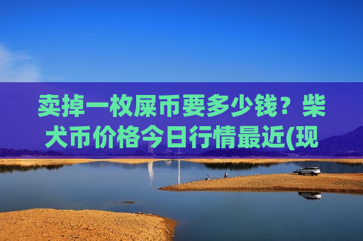 卖掉一枚屎币要多少钱？柴犬币价格今日行情最近(现价0.00017671元)-第1张图片-币圈网
