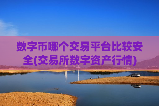 数字币哪个交易平台比较安全(交易所数字资产行情)-第1张图片-币圈网