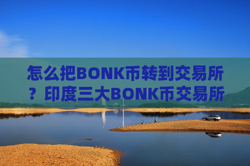 怎么把BONK币转到交易所？印度三大BONK币交易所-第1张图片-币圈网