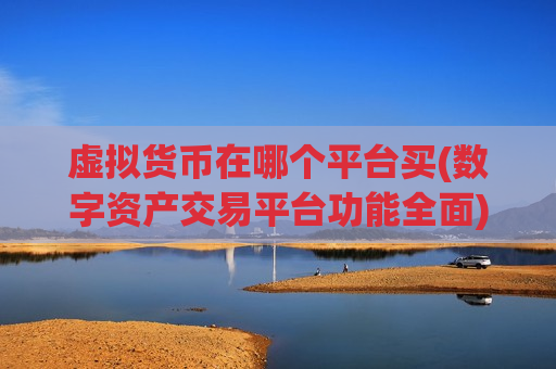 虚拟货币在哪个平台买(数字资产交易平台功能全面)