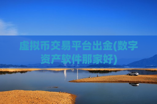 虚拟币交易平台出金(数字资产软件那家好)-第1张图片-币圈网