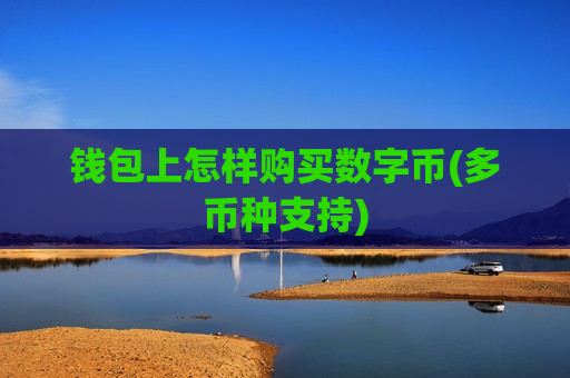 钱包上怎样购买数字币(多币种支持)-第1张图片-币圈网 钱包上怎样购买数字币(多币种支持)-第1张图片-币圈网