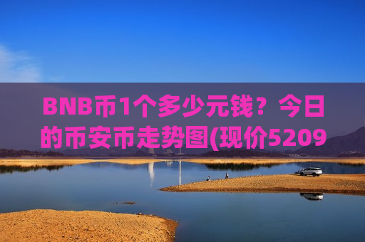 BNB币1个多少元钱?今日的币安币走势图(现价5209.71元)-第1张图片-币圈网 BNB币1个多少元钱?今日的币安币走势图(现价5209.71元)-第1张图片-币圈网