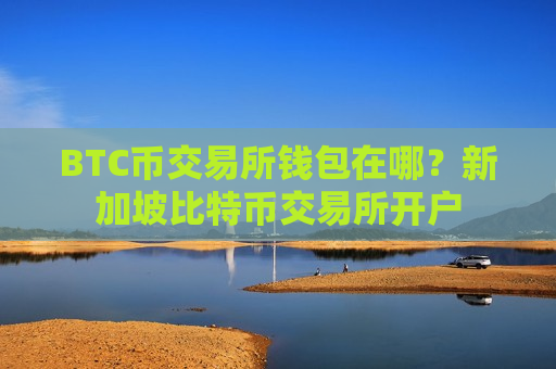 BTC币交易所钱包在哪?新加坡比特币交易所开户-第1张图片-币圈网 BTC币交易所钱包在哪?新加坡比特币交易所开户-第1张图片-币圈网