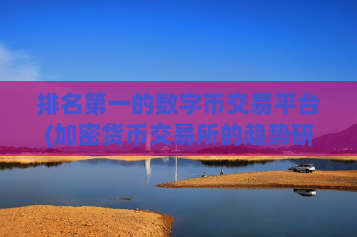 排名第一的数字币交易平台(加密货币交易所的趋势研究)