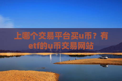 上哪个交易平台买u币？有etf的u币交易网站-第1张图片-币圈网