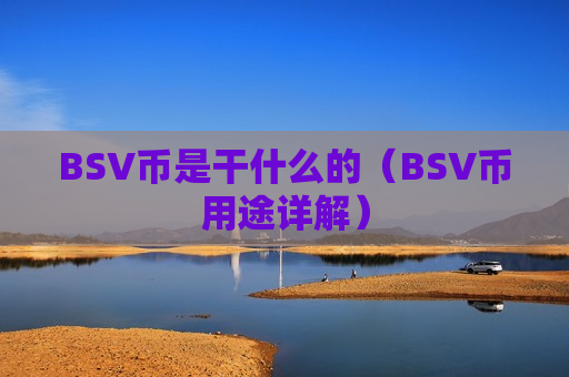 BSV币是干什么的(BSV币用途详解)-第1张图片-币圈网 BSV币是干什么的(BSV币用途详解)-第1张图片-币圈网