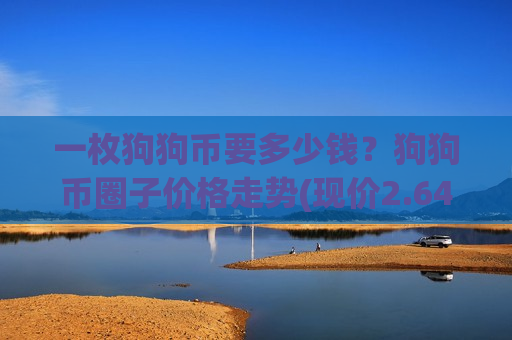 一枚狗狗币要多少钱？狗狗币圈子价格走势(现价2.6418元)-第1张图片-币圈网