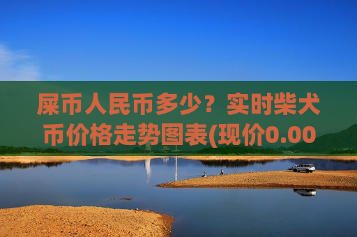屎币人民币多少？实时柴犬币价格走势图表(现价0.00018715元)-第1张图片-币圈网