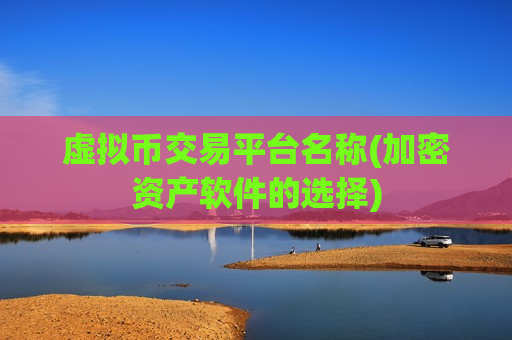 虚拟币交易平台名称(加密资产软件的选择)-第1张图片-币圈网