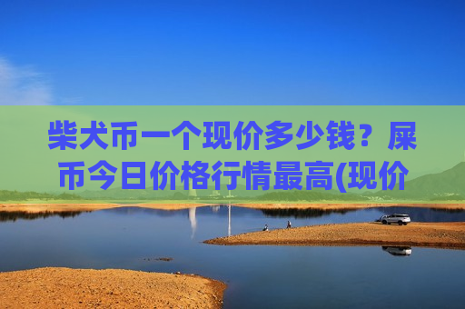 柴犬币一个现价多少钱?屎币今日价格行情最高(现价0.00019085元)-第1张图片-币圈网 柴犬币一个现价多少钱?屎币今日价格行情最高(现价0.00019085元)-第1张图片-币圈网