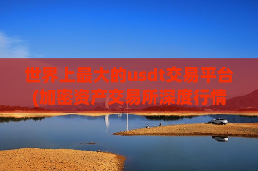 世界上最大的usdt交易平台(加密资产交易所深度行情分析)-第1张图片-币圈网