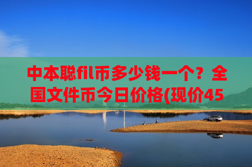 中本聪fil币多少钱一个？全国文件币今日价格(现价45.606元)