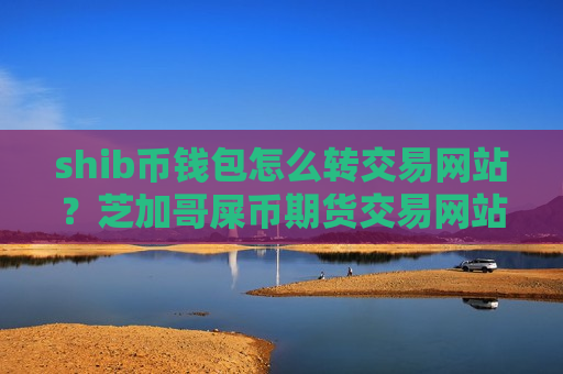 shib币钱包怎么转交易网站？芝加哥屎币期货交易网站-第1张图片-币圈网
