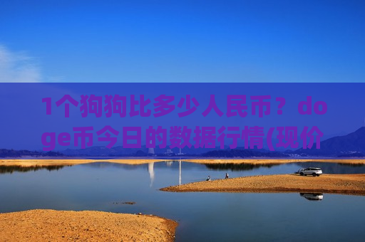 1个狗狗比多少人民币？doge币今日的数据行情(现价2.8572元)