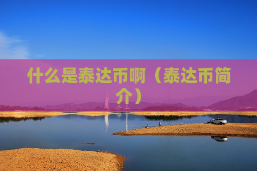 什么是泰达币啊（泰达币简介）