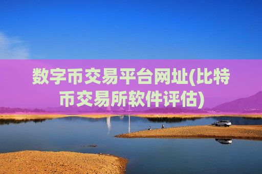 数字币交易平台网址(比特币交易所软件评估)